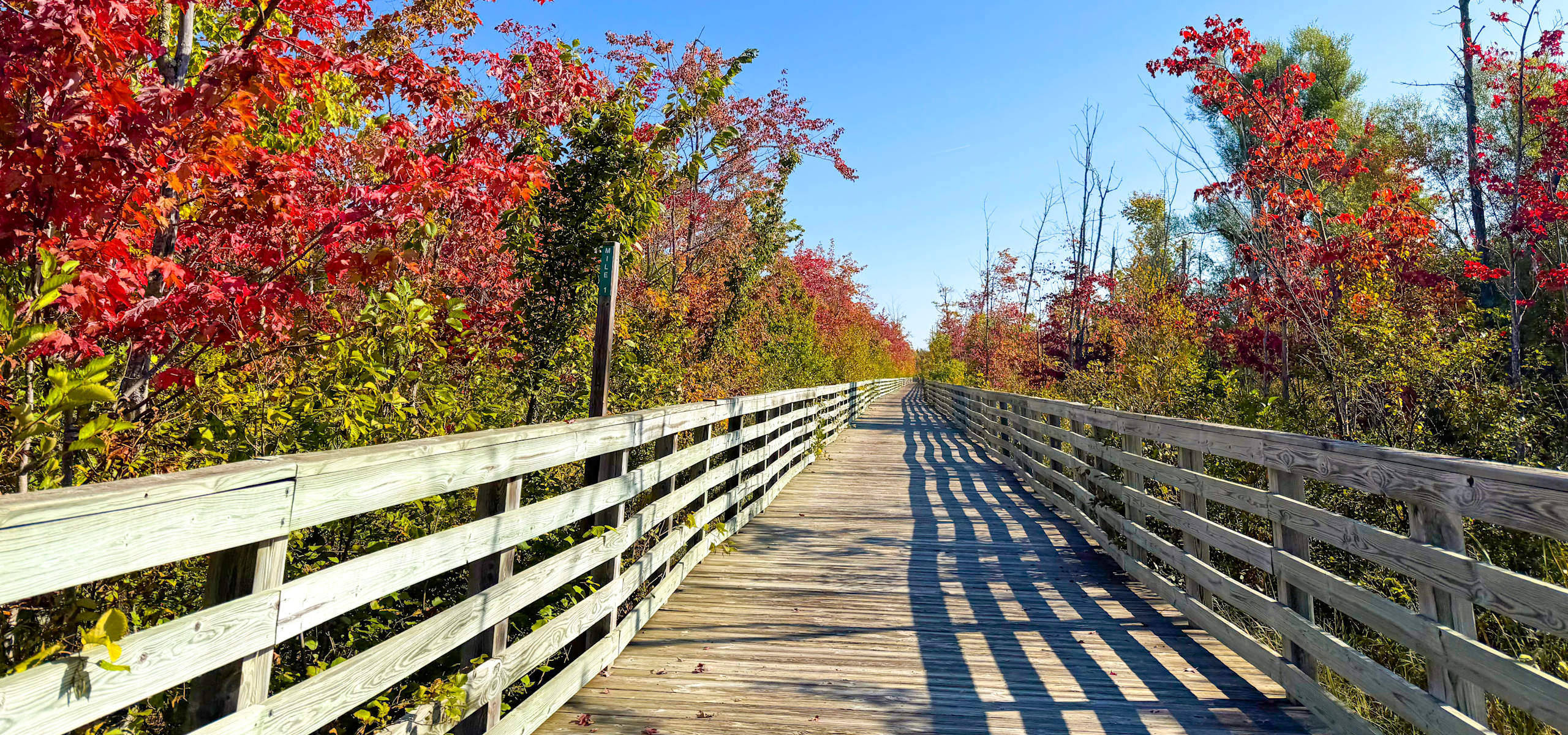 Bike trail on the Michigan Lakes Bike Tour