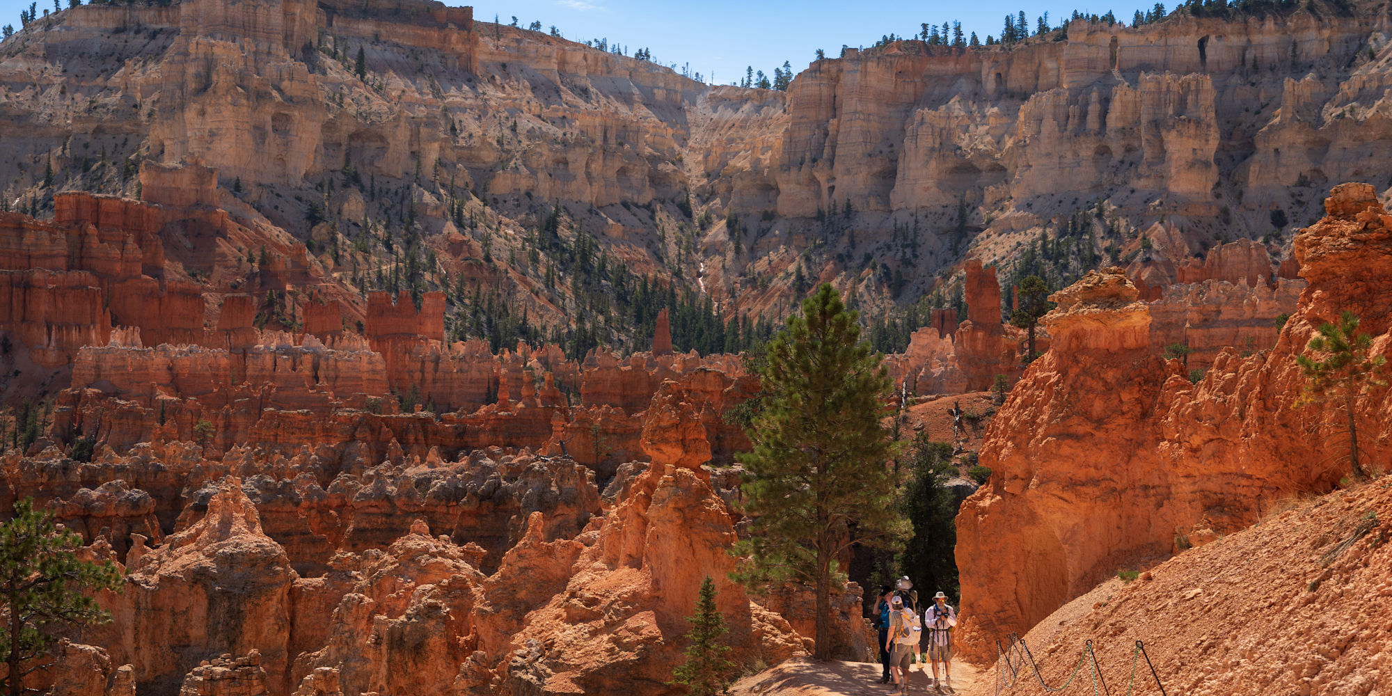 Hikers shading by tree in Bryce Canyon