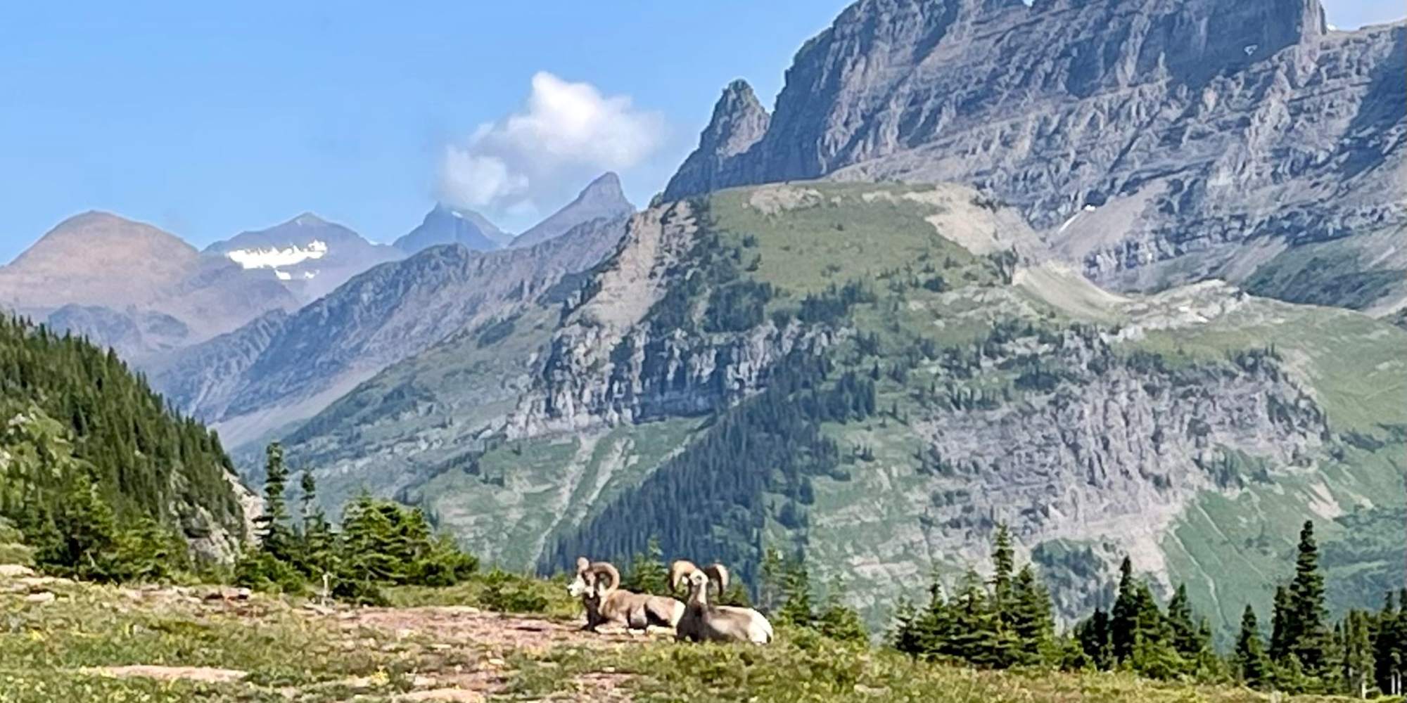 Typical scenery found in Glaci