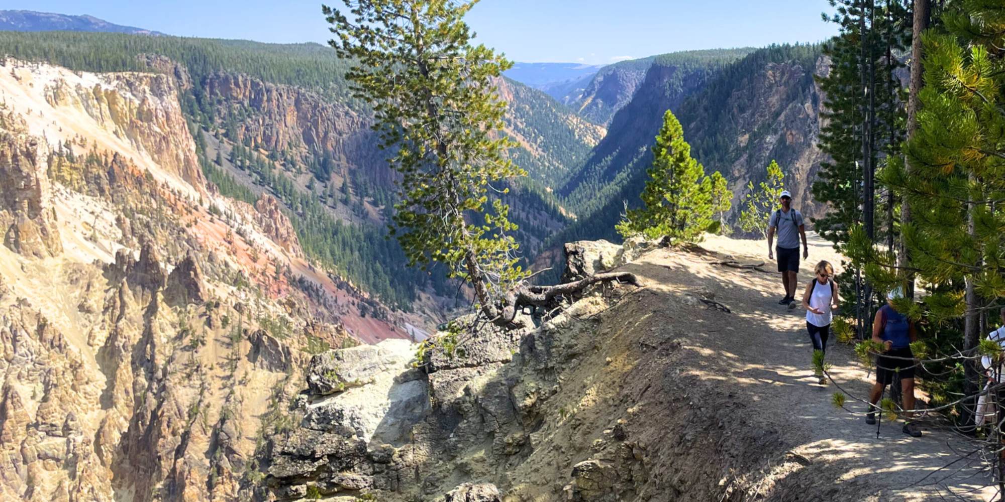 Austin Adventures guests hiking the trails in Yellowstone National Park