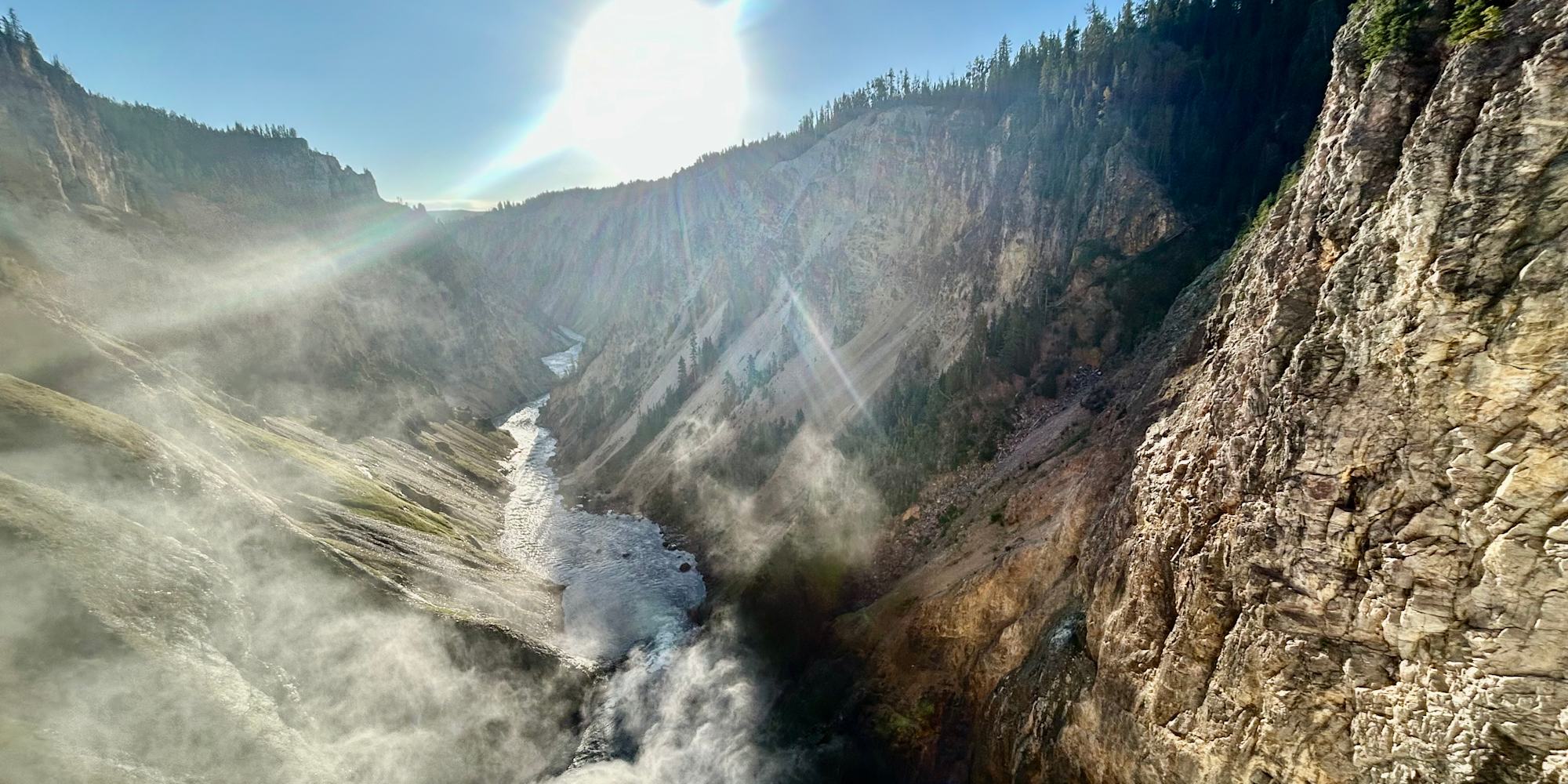 Whales in Baja waters Mexico