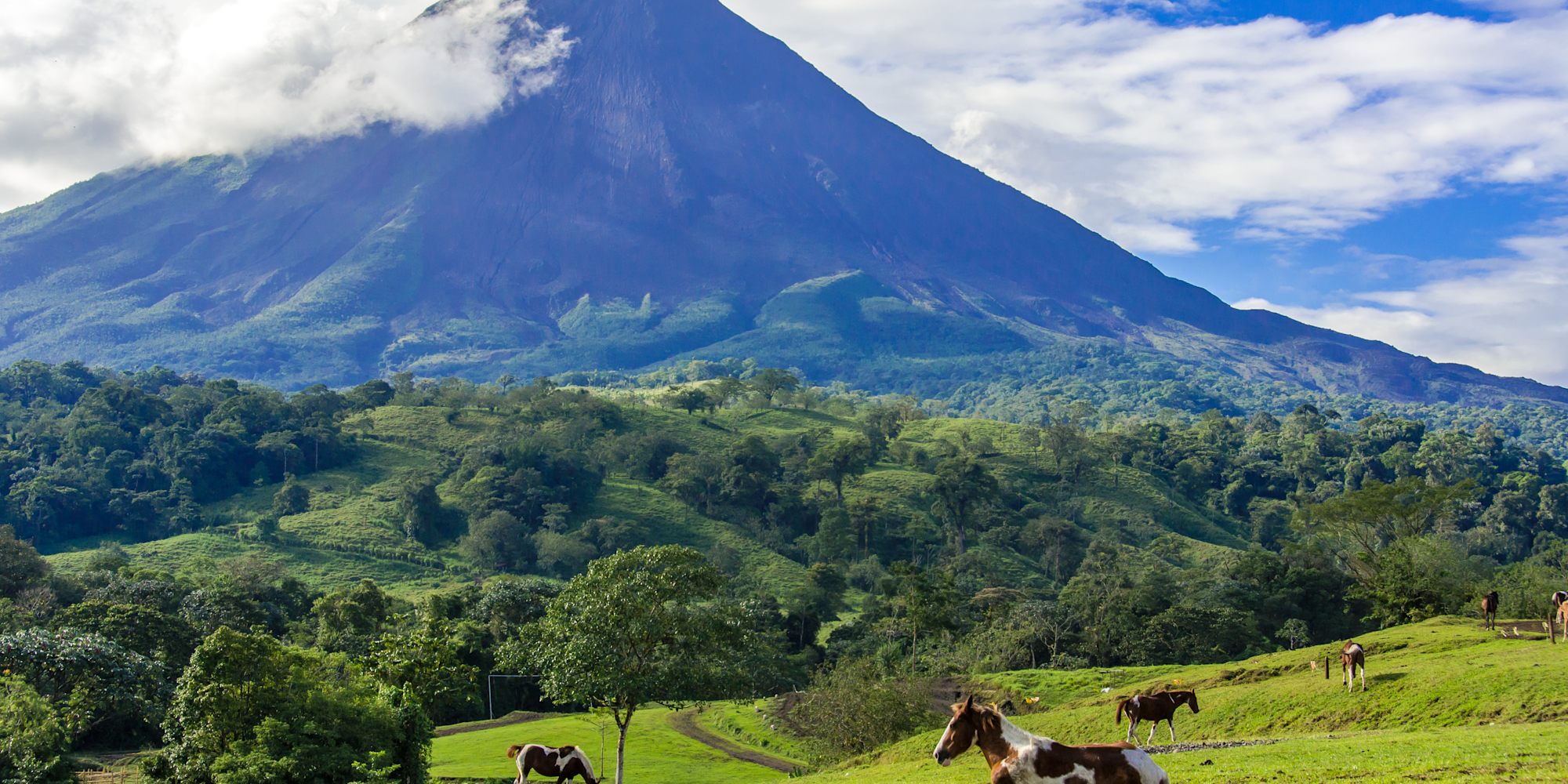 Arenal Volcano with horses in the foreground