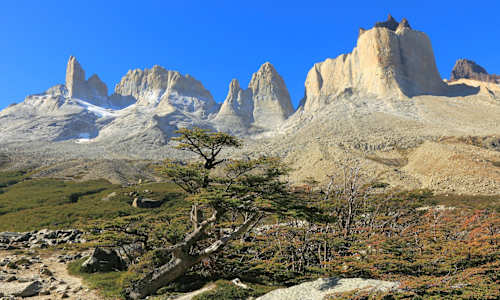 Patagonia