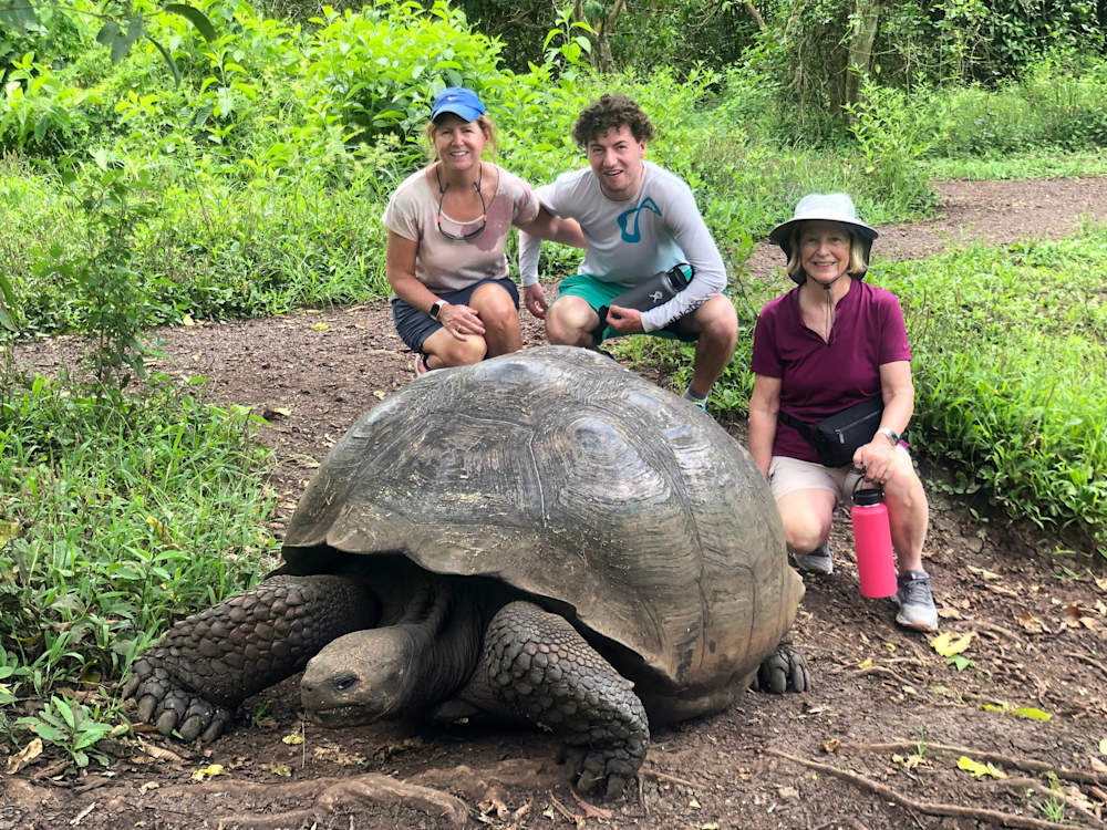 Giant Tortoise Galapagos Islands Tour