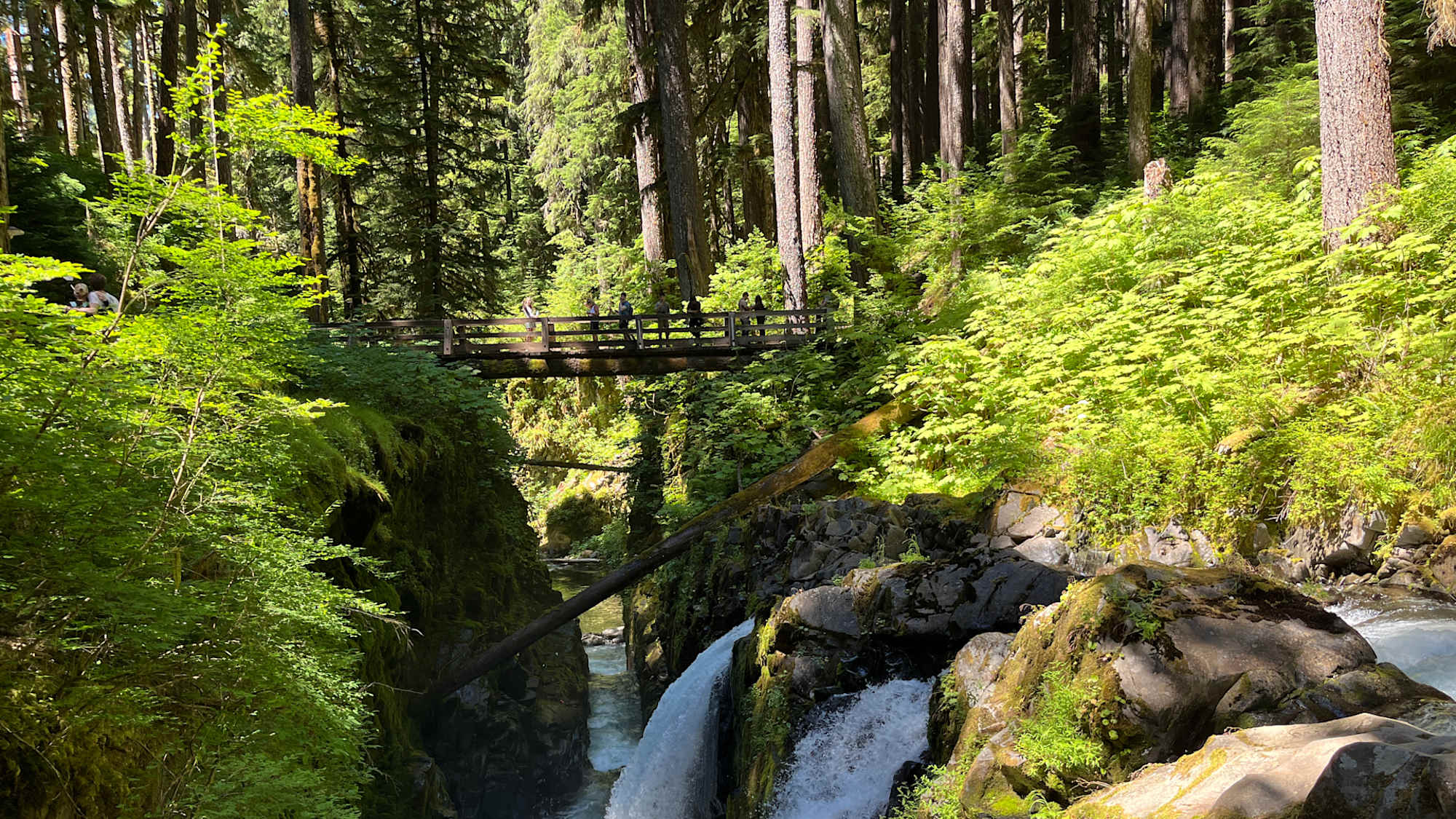 Washington Bike Tours | Guided Scenic Cycling Trips | Discovery Bicycle ...