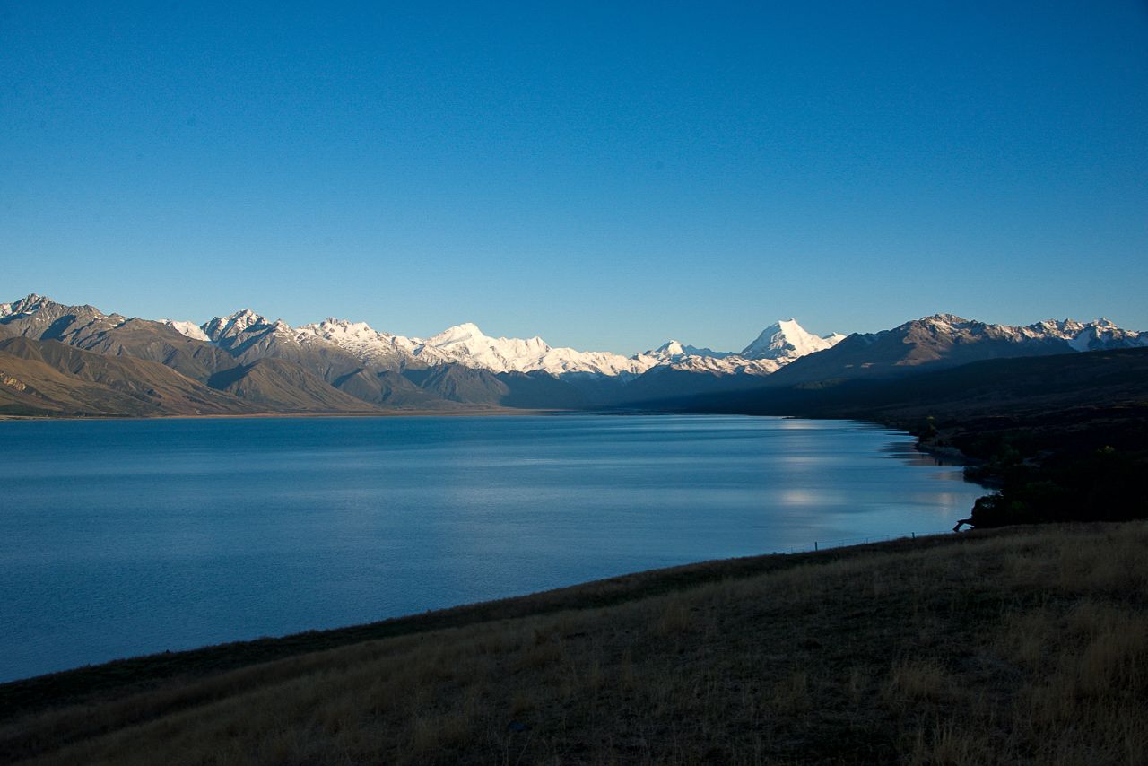 NZ_Weka-12