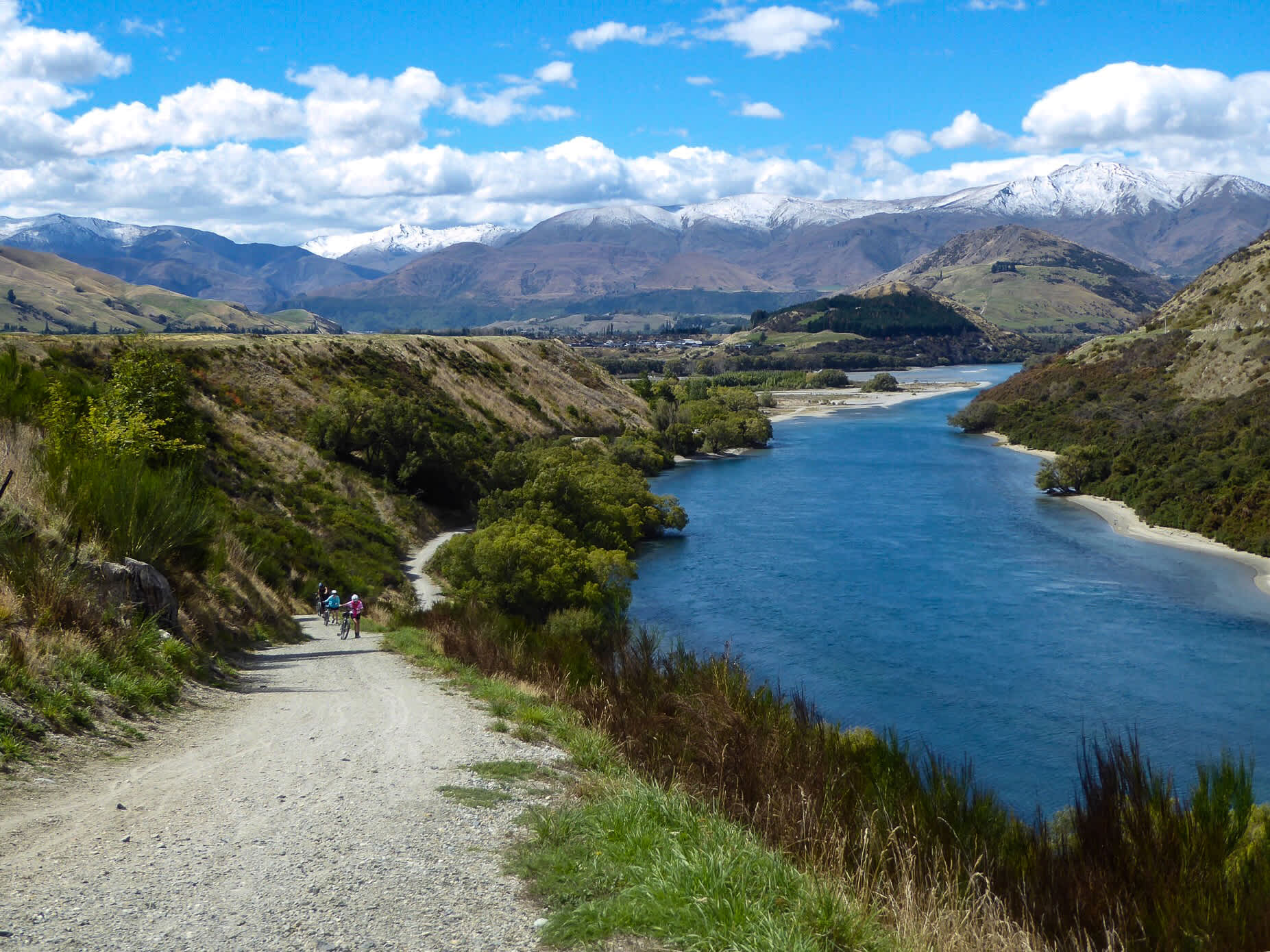 NZ_Weka-15