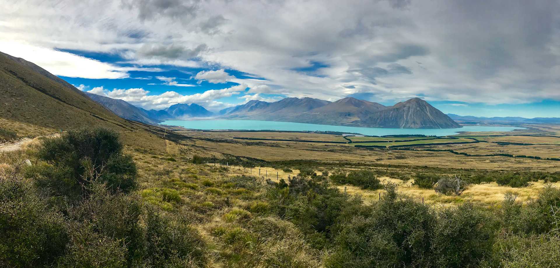 NZ_Weka-18