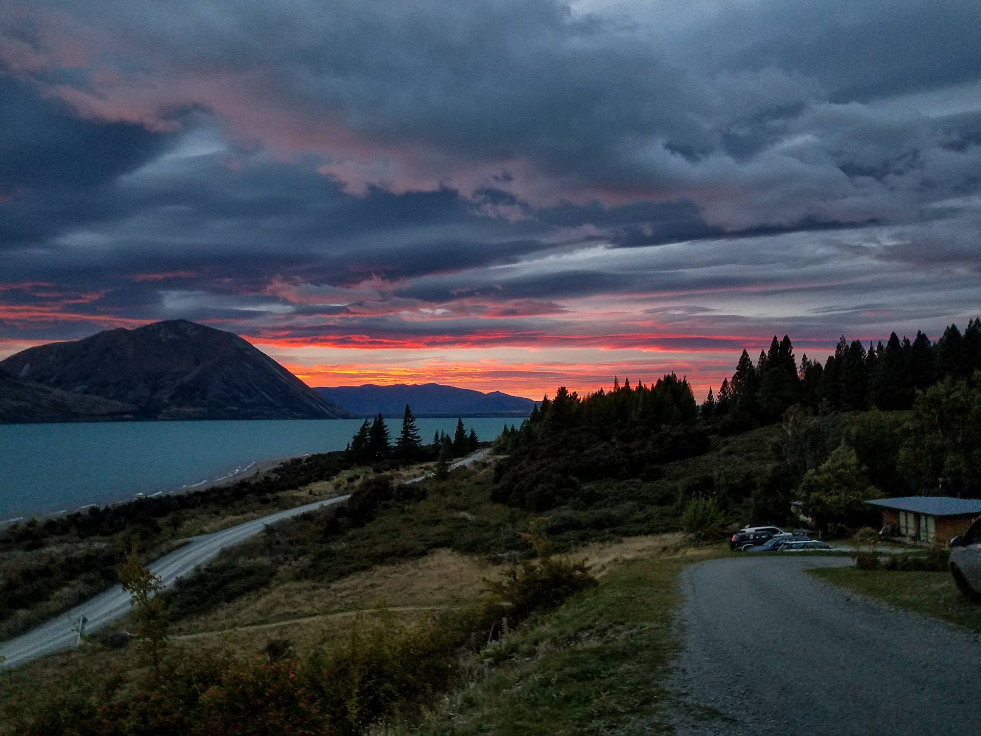 NZ_Weka-19