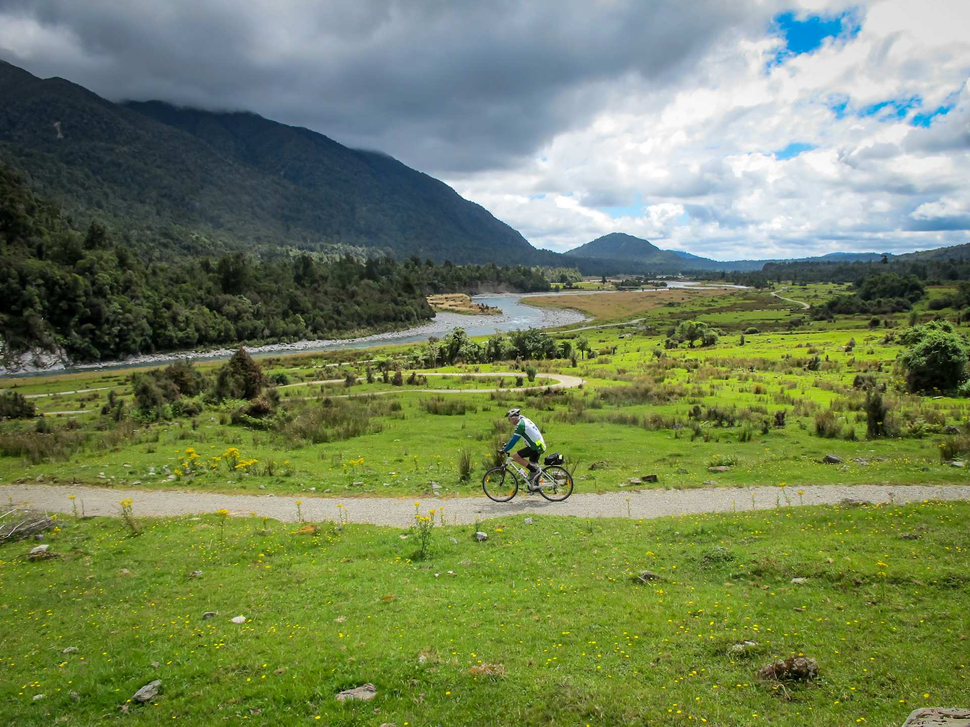 NZ_Weka-8