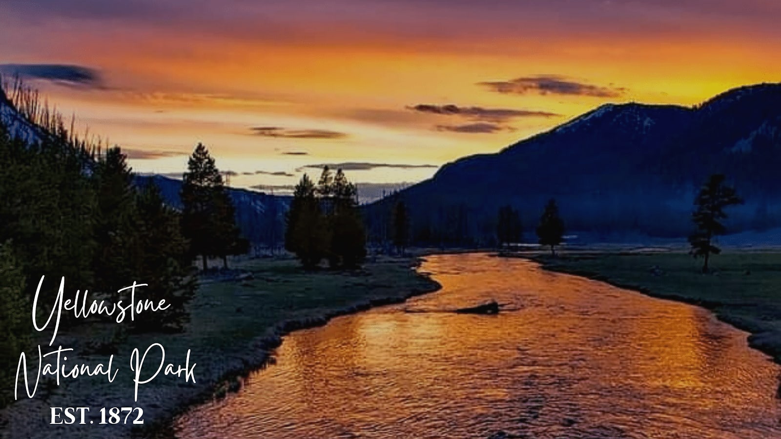 Best Time to Visit Yellowstone (By Month & Season)