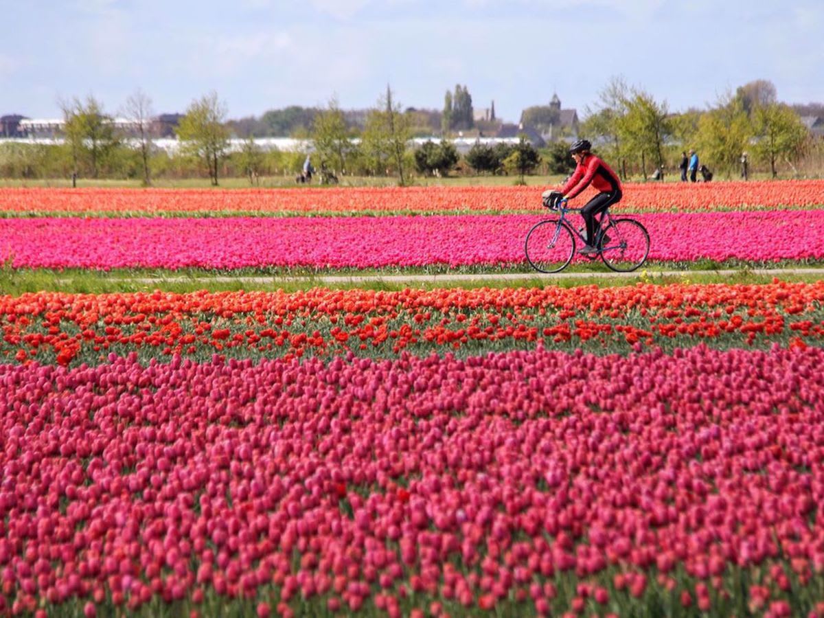 Inn-to-Inn Bike Tours - Discovery Bicycle Tours