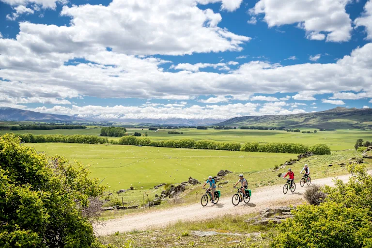 6-Day New Zealand Alps-to-Ocean Adventure Bike Tour