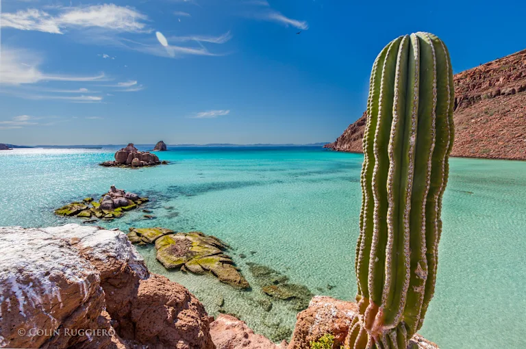 Ultimate Baja Family Vacation