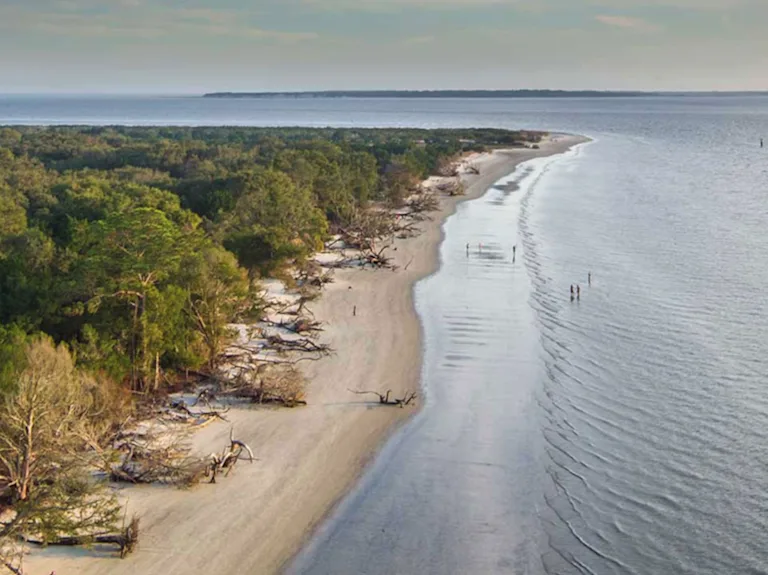 5-Day Florida & Georgia Islands Coastal Bike Tour