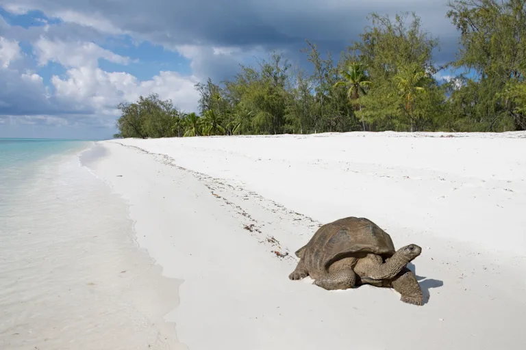 Ultimate Galapagos Islands Adventure