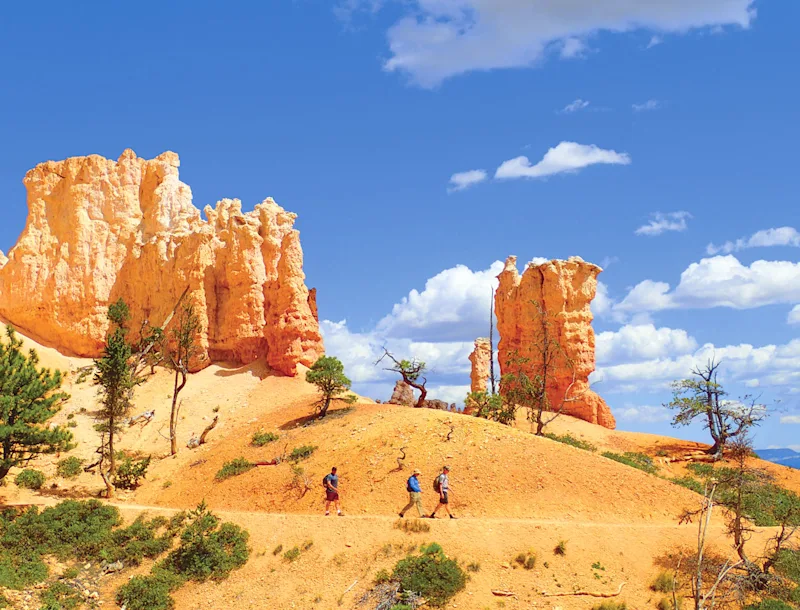 The 15 Best National Parks to Visit in the U.S.