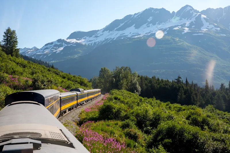 Denali vs. Kenai Fjords: Which Alaska National Park Should You Visit?