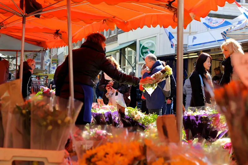 Beyond the Tulips: Dutch Food & Culture on a Netherlands Bike Tour