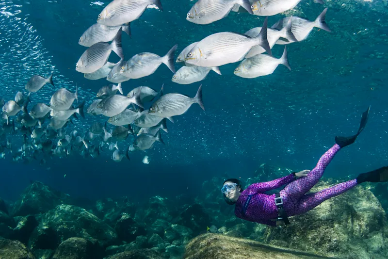 Best Time to Visit Baja with Family