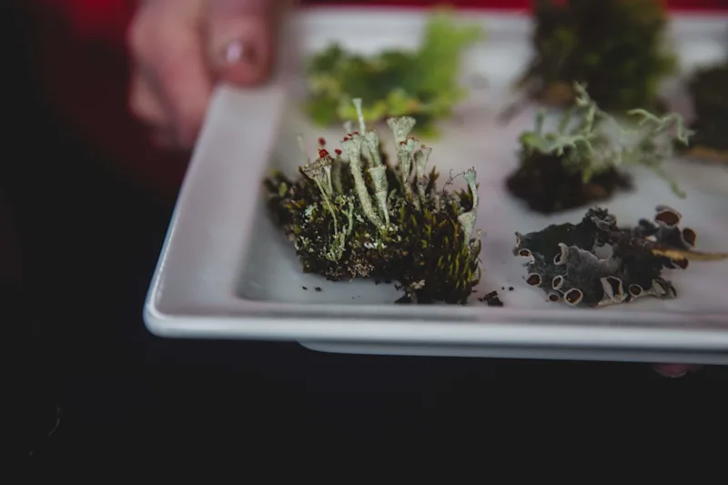 6 Reasons Why You'll Love Argentina