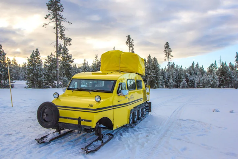 Ten Reasons to Visit Yellowstone in Winter