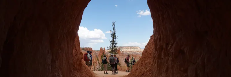 The Best Times to Visit Zion National Park and What to Do There