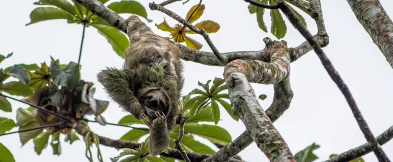 7 Reasons Why You Should Take the Family to Costa Rica this Christmas