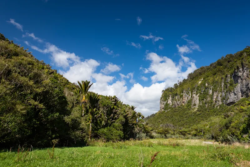 Hike or Bike the Paparoa Track