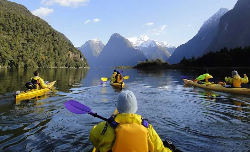All You Need to Know About Sea Kayaking in Milford Sound
