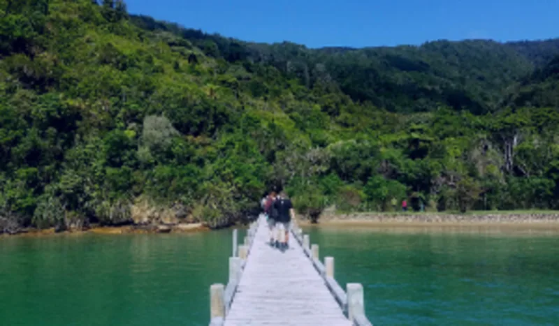 Video: Highlights of our Elegant South 'Kakapo' trip