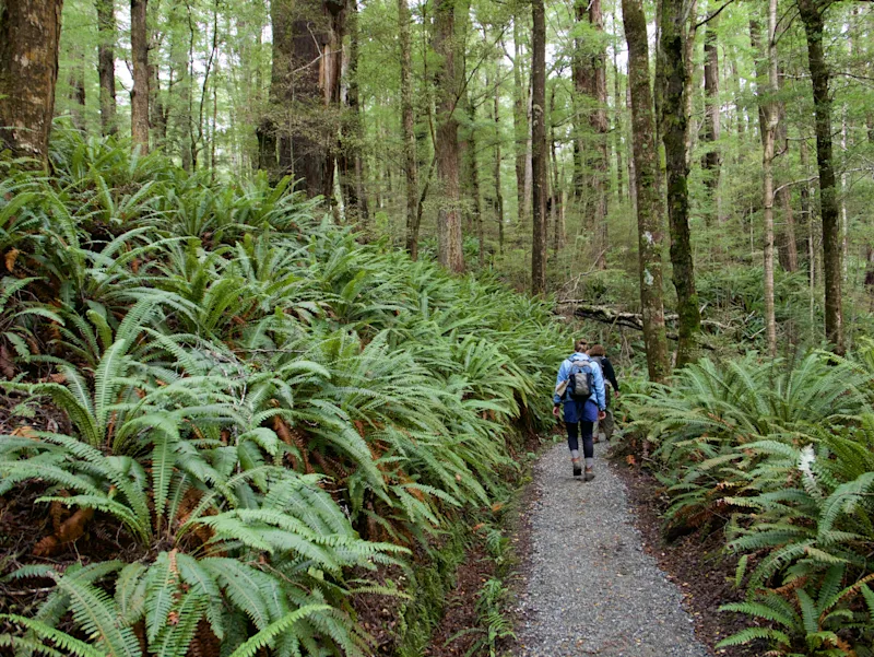 Multi-Day Hiking in New Zealand: How to Plan the Perfect Trip for You