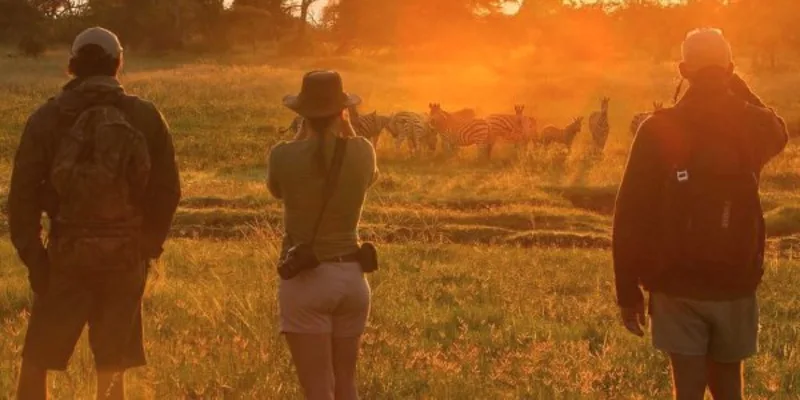 Podcast - Matty Talks About his African Safari with Kit Parks