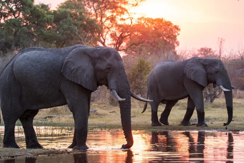 The best time to visit Botswana