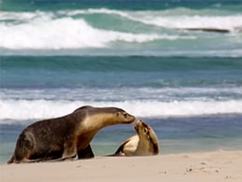 Podcast: Kit Parks talks about her adventures on the North Island of New Zealand (Part III)