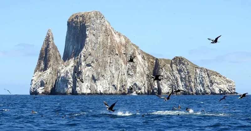 The Seven ‘Wonders’ of the Galapagos: Best Things to Do and See