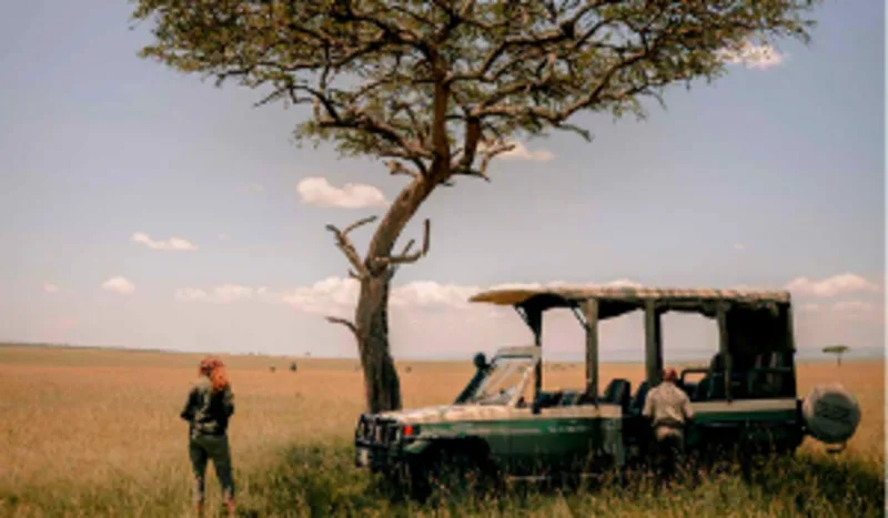 Video: Safari Adventures in Africa
