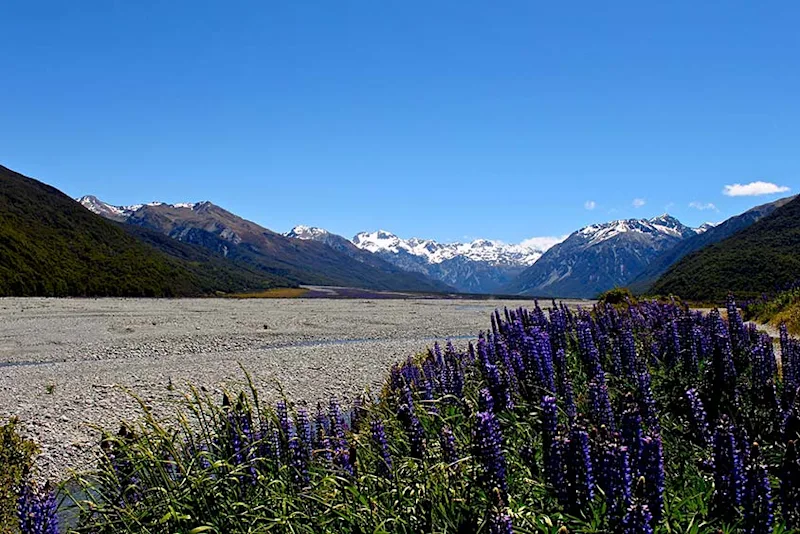 Discover Arthur's Pass National Park