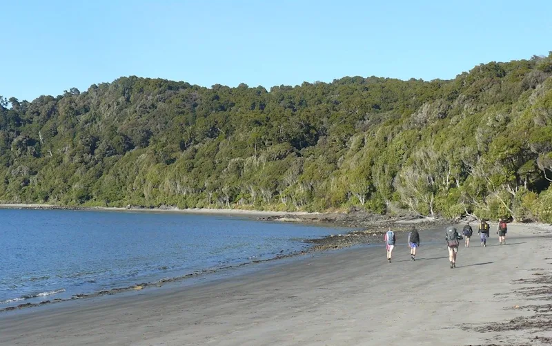 Discover Rakiura National Park, on Stewart Island