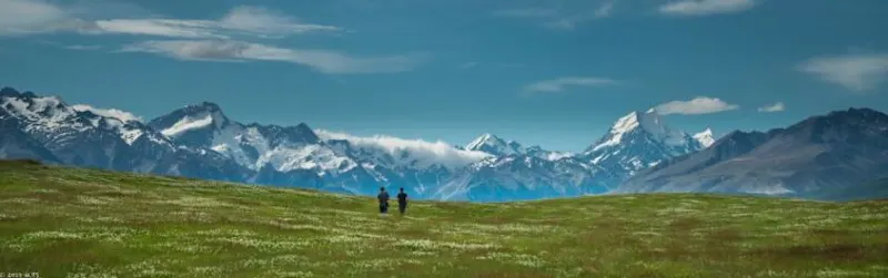 Staff Picks: Adventure Books and Movies to Stay Inspired