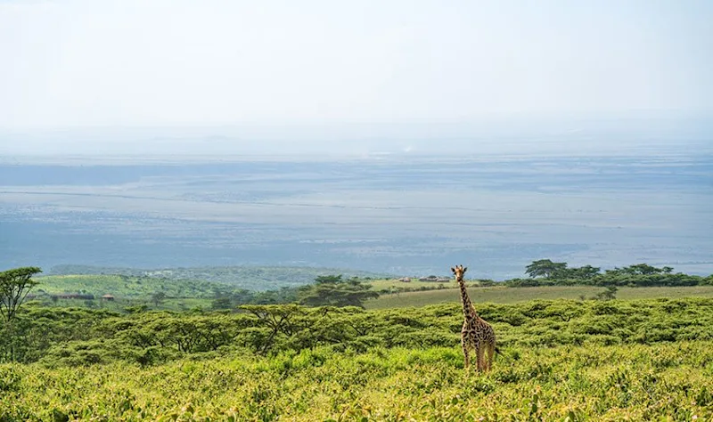 The best time to visit Tanzania