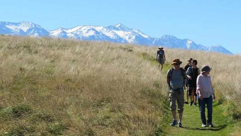 What to pack for your next day hike