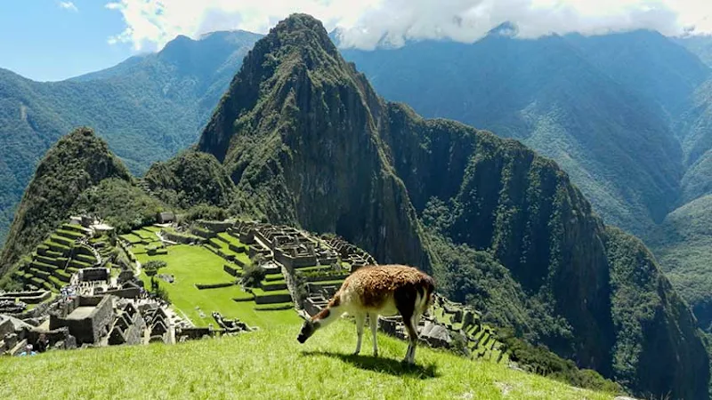 Discover Machu Picchu, The Most Famous Inca Ruins in Peru