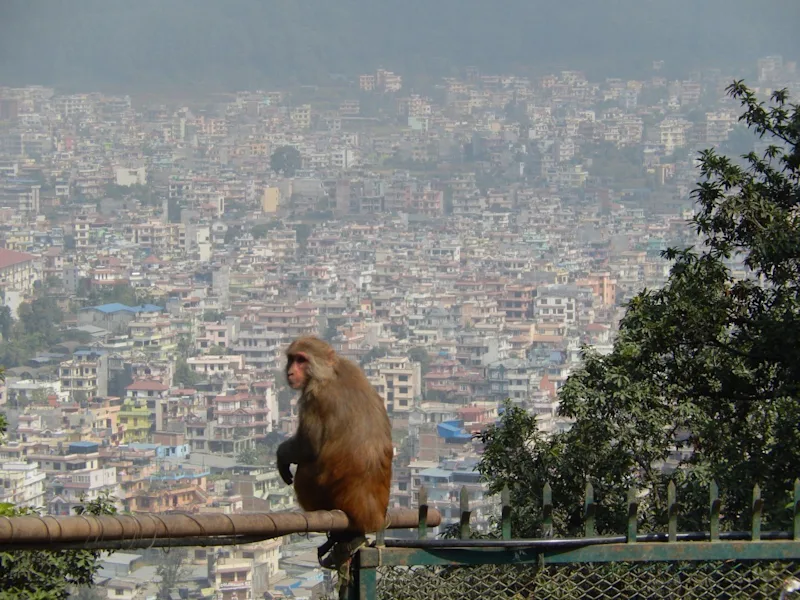 A Little Guide About Kathmandu, Nepal
