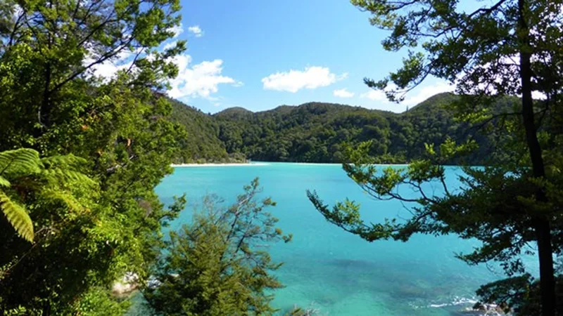 Things to Do in Abel Tasman National Park