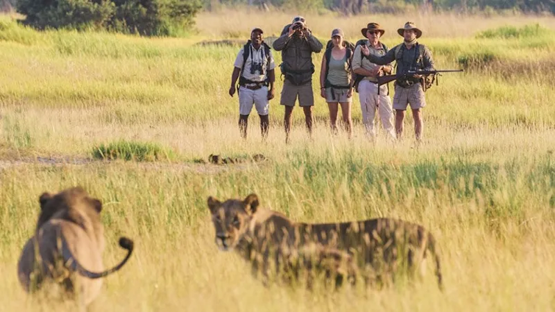 Everything you need to know to pick an African Safari