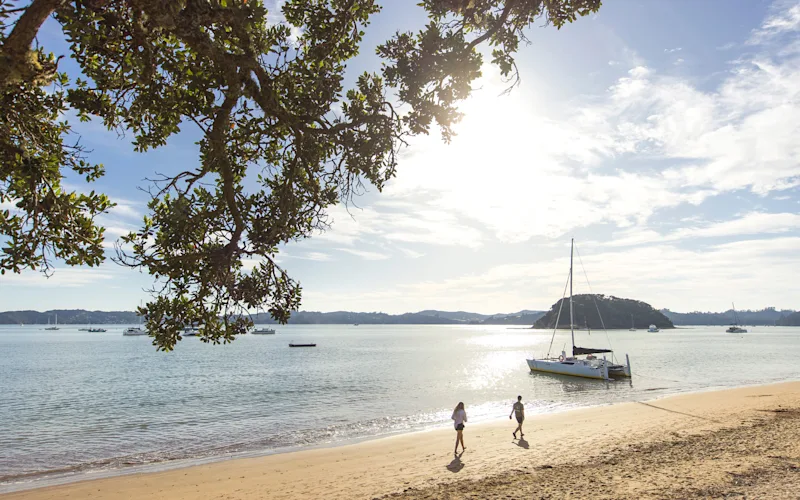 Discover Northland, New Zealand: Pristine Beaches, Māori Culture, and Towering Forests