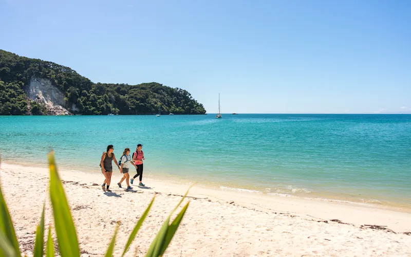 The Top of the South Island - Hiking Gold-Sand Beach Tracks to Gold-Medal Wine Country