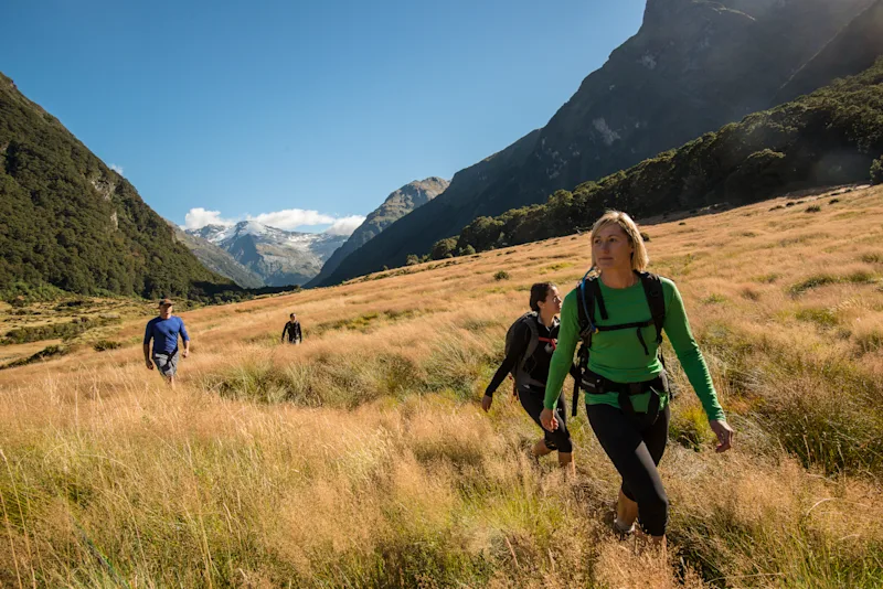 New Zealand's South Island Highlights (And the Places Most Travelers Never Reach)
