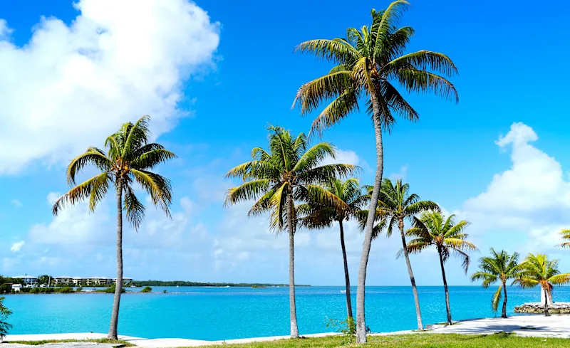 Florida Cycling Coast-to-Coast: The Ultimate Snowbird Adventure